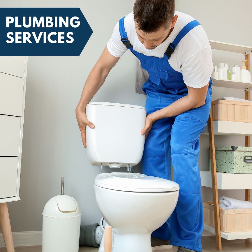 Plumbing Company in Coleman, FL